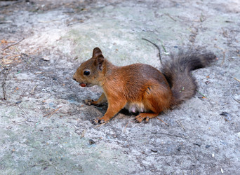 Similar image 466567