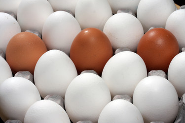 Similar image 466646