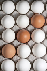 Similar image 466647