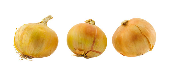 Similar image 466727