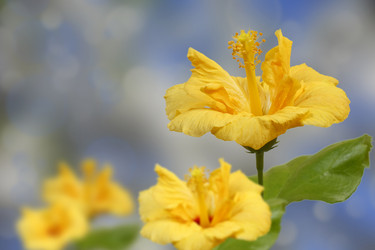 Similar image 466792