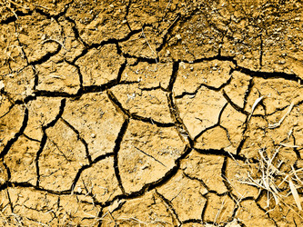 Similar image 466834