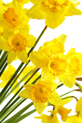 Similar image 466871