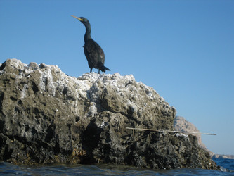 Similar image 467018