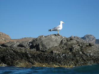 Similar image 467019