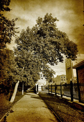 Similar image 467040