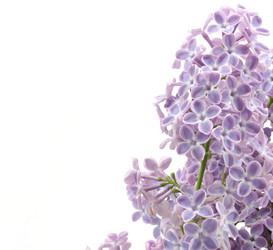 Similar image 467077