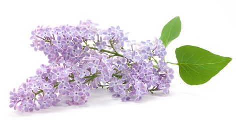 Similar image 467078