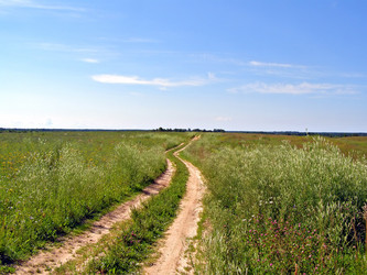 Similar image 467079