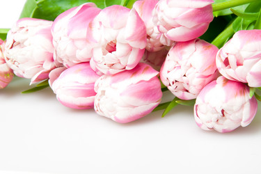 Similar image 467178