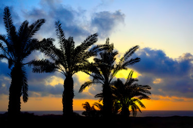 Similar image 467191