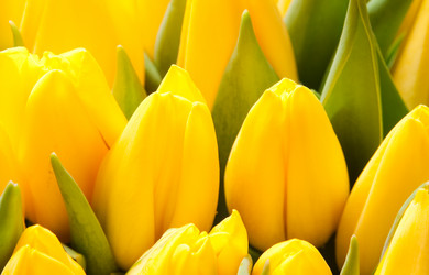 Similar image 467196