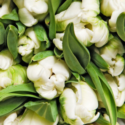 Similar image 467197