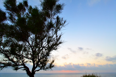 Similar image 467198