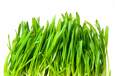 Similar image 467203