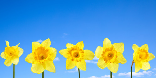 Similar image 467249