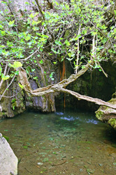 Similar image 467263