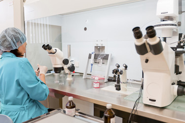 Similar image 467322