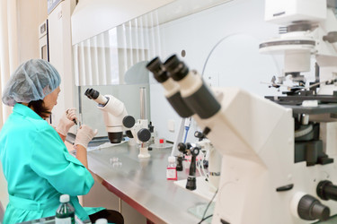 Similar image 467323