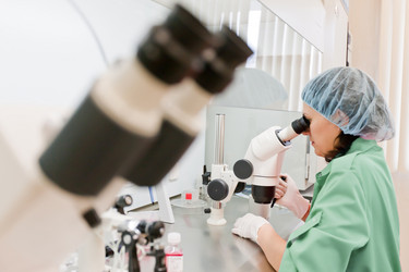 Similar image 467333