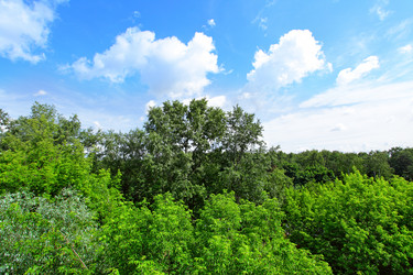 Similar image 467335