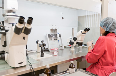 Similar image 467339