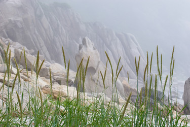 Similar image 467364