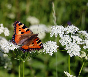 Similar image 467373