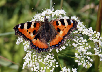 Similar image 467375