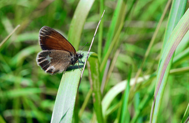 Similar image 467377