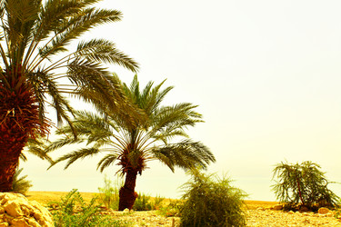 Similar image 467378