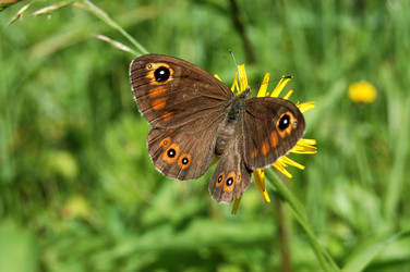 Similar image 467379