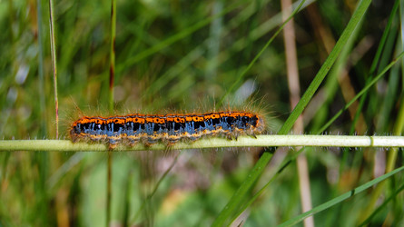 Similar image 467385