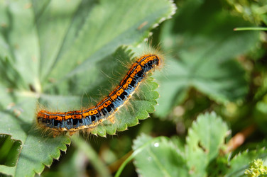 Similar image 467387