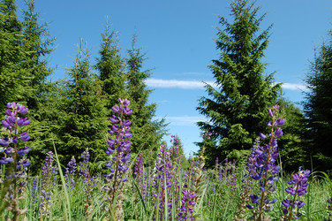 Similar image 467389