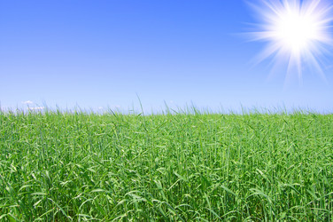 Similar image 467393