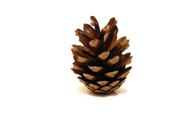 Similar image 467430