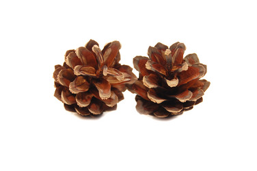 Similar image 467433