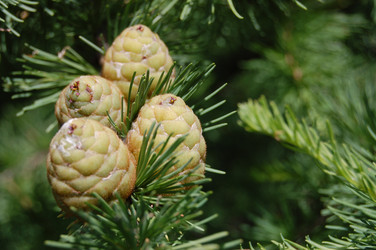 Similar image 467443