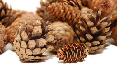 Similar image 467444