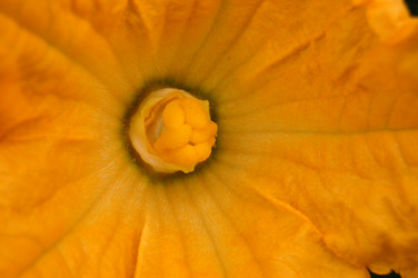 Similar image 467458