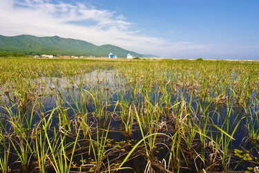 Similar image 467459