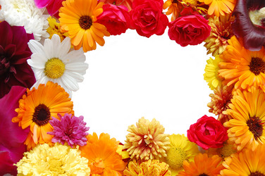 Similar image 467476