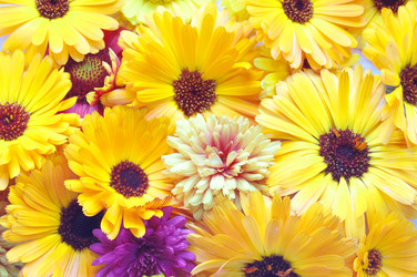 Similar image 467496