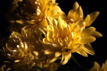 Similar image 467619