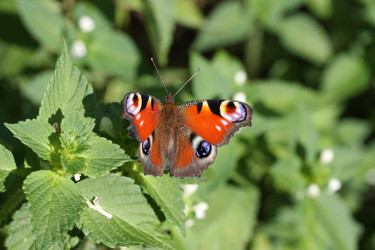 Similar image 467626