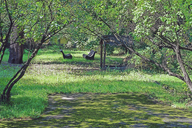 Similar image 467686