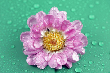 Similar image 467701