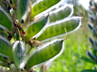 Similar image 467720