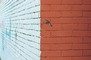 Similar image 467726